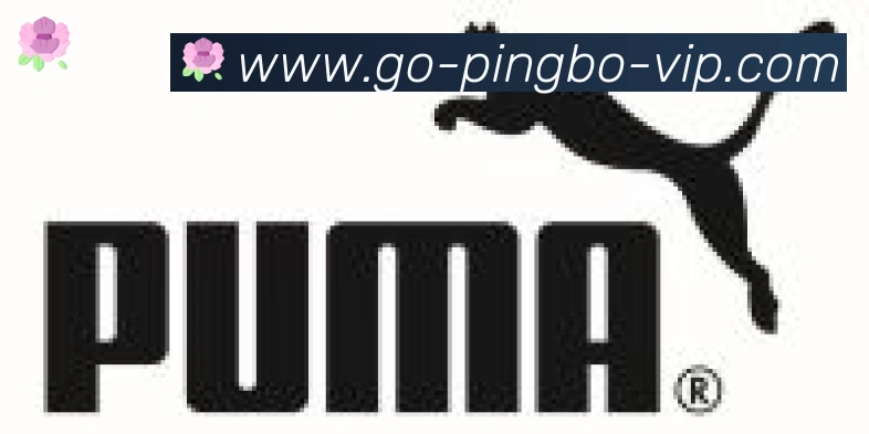平博pinnacle体育合作伙伴
